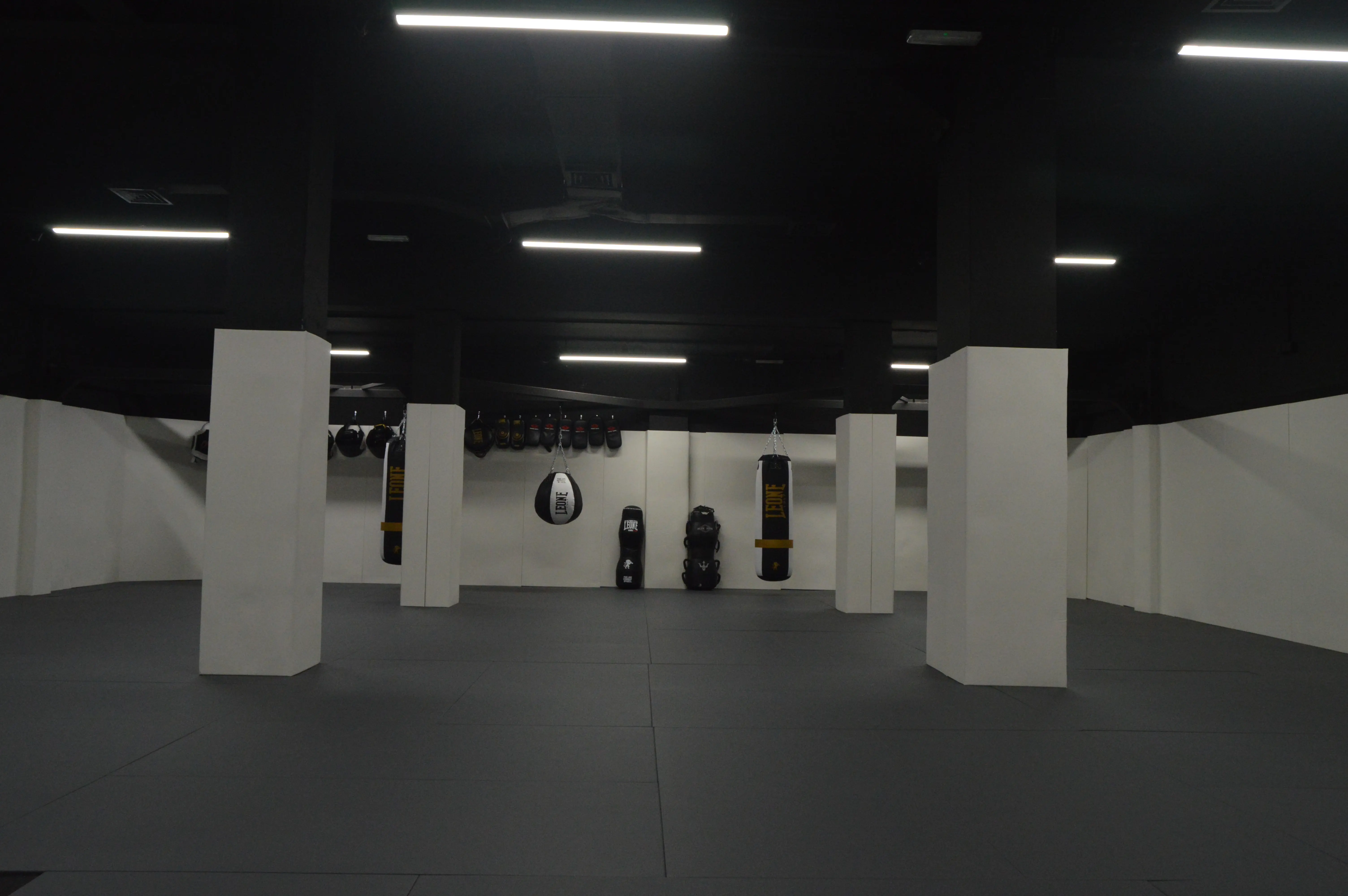 Tatami de la academia